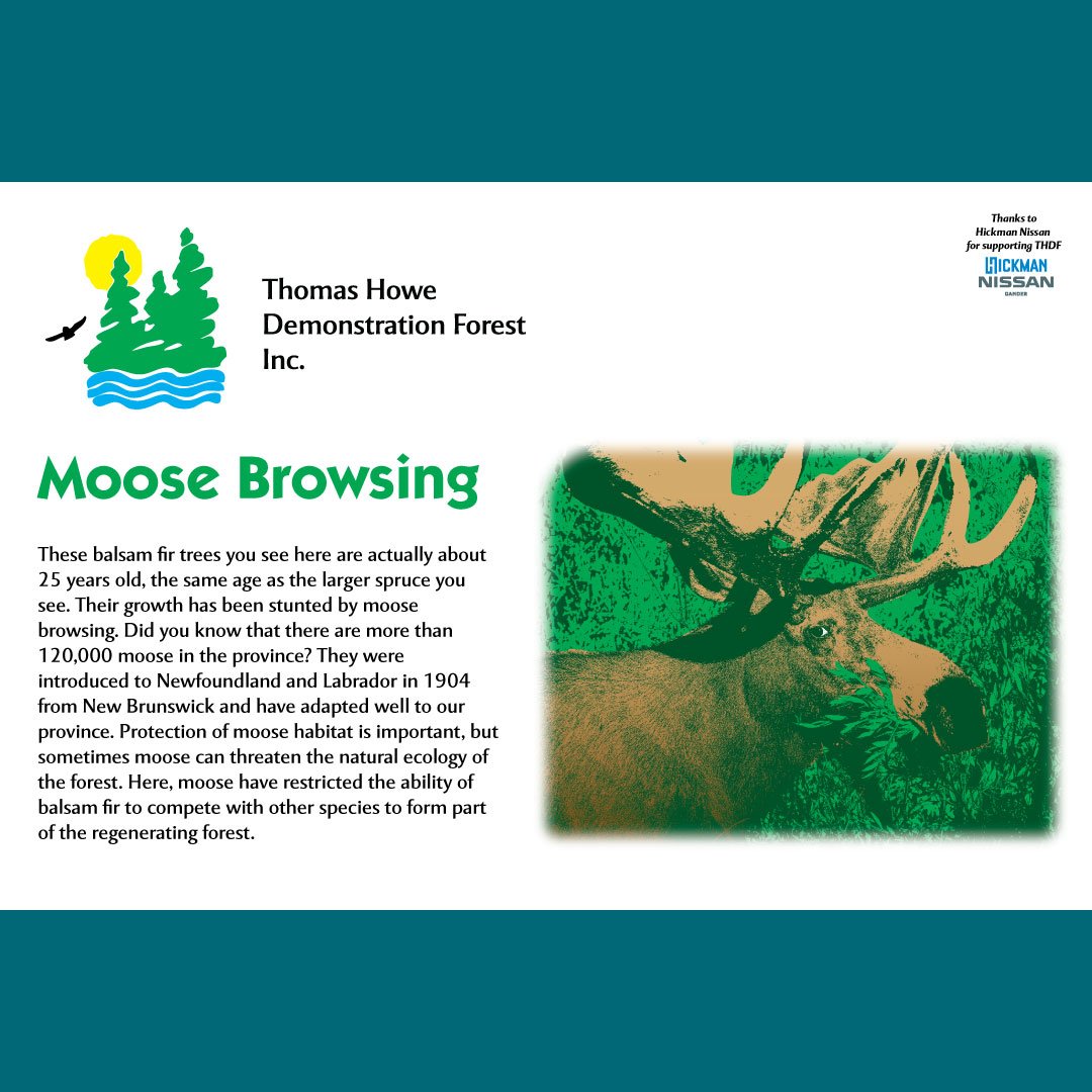 An informational sign about moose diets.