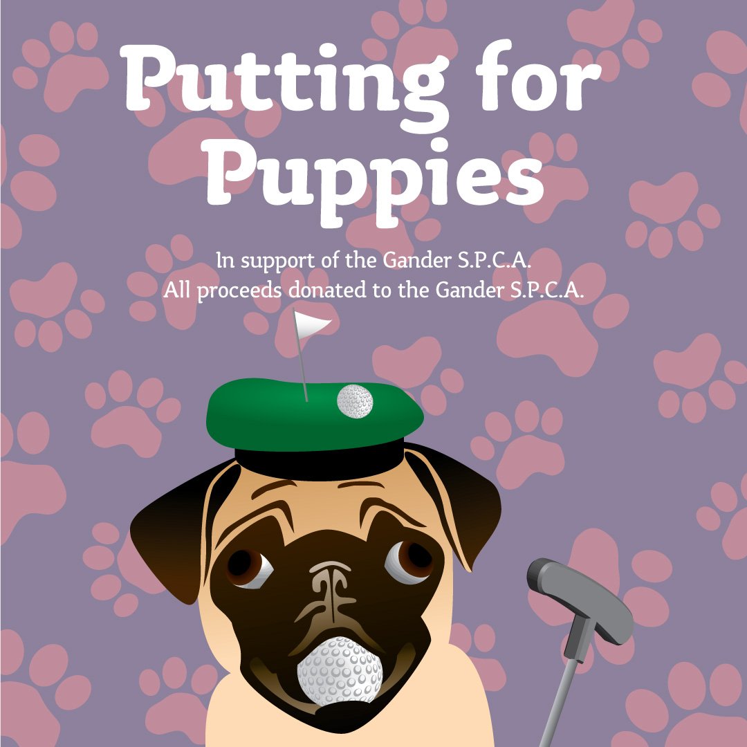 Putting for puppies promotion. In support of the S.P.C.A. There's a pug holding a golf ball and wearing a hat with a golf green on it.