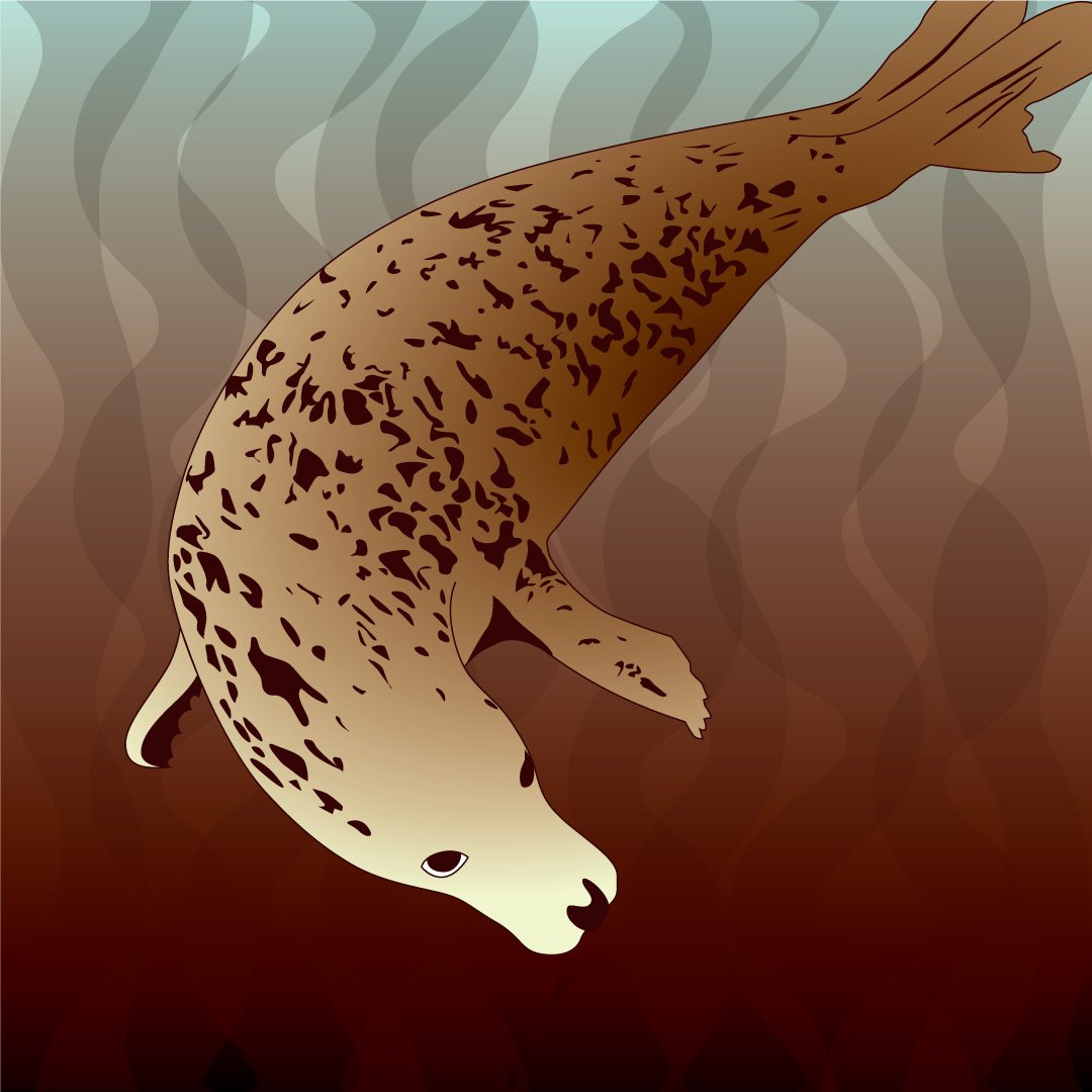 An illustration of a seal.