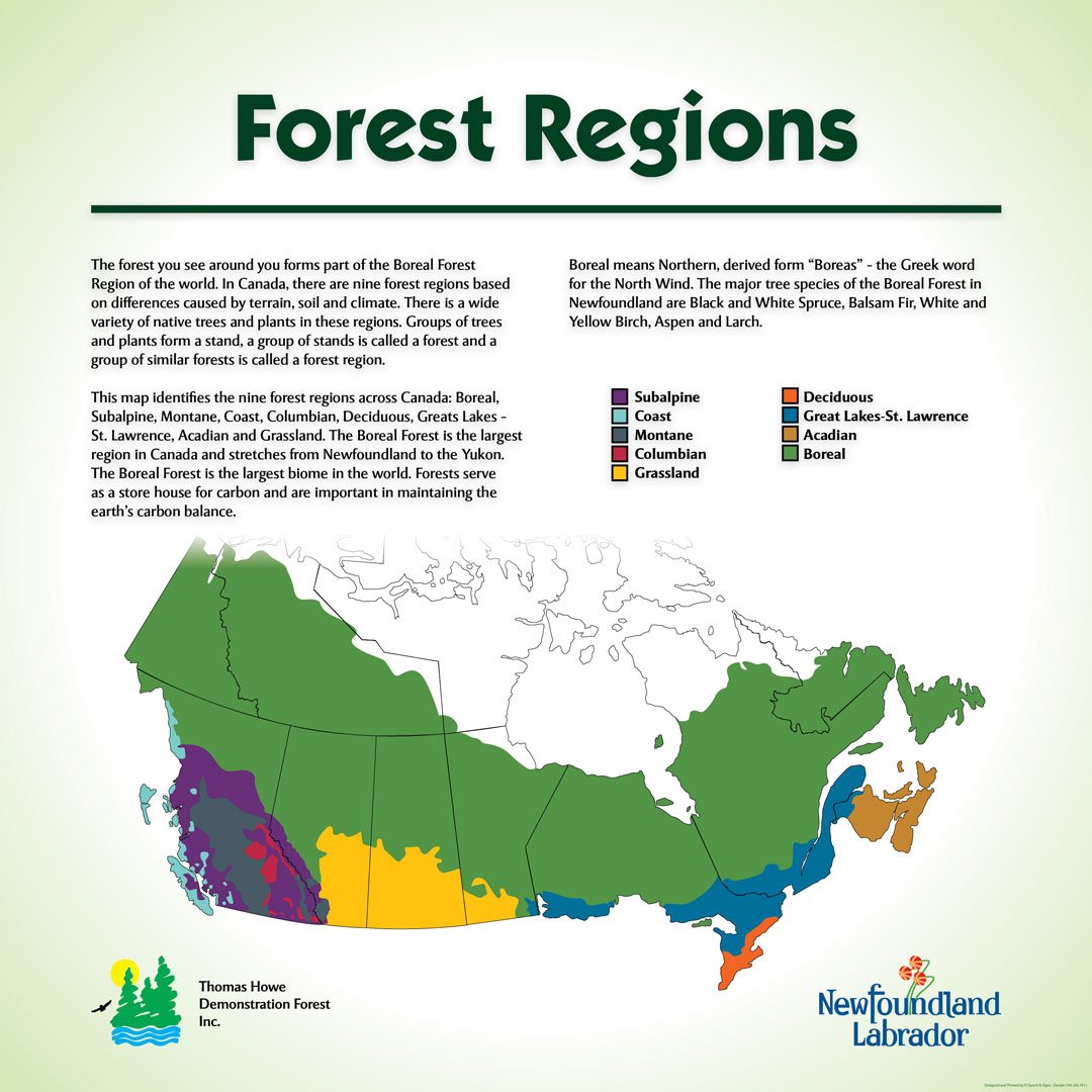 An informational sign about forest regions.