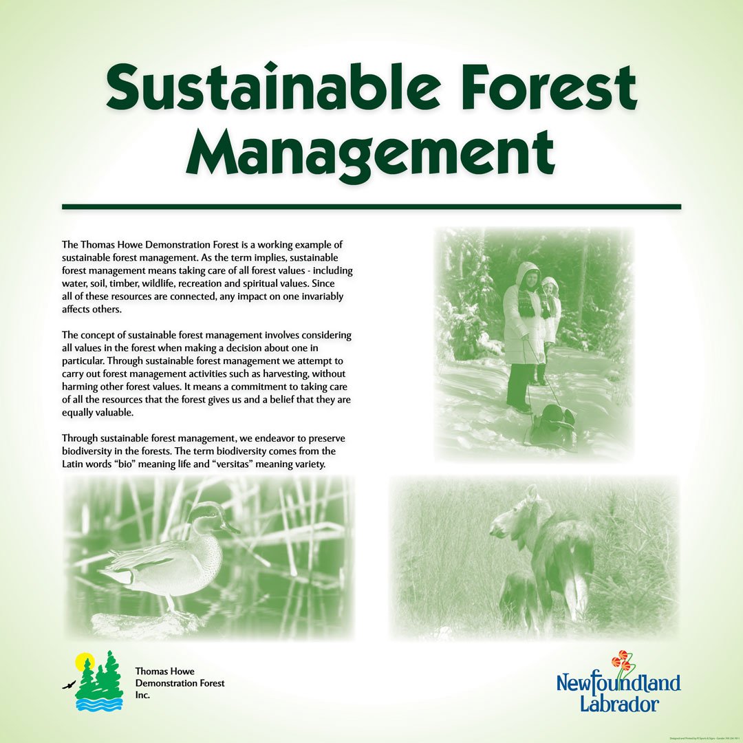 An informational sign about sustainable forest management.