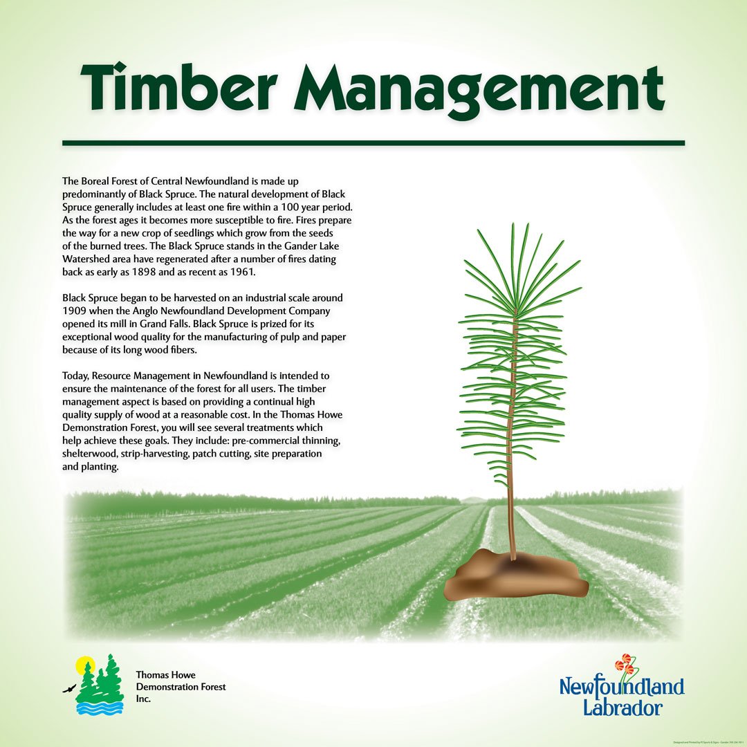 An informational sign about timber management.