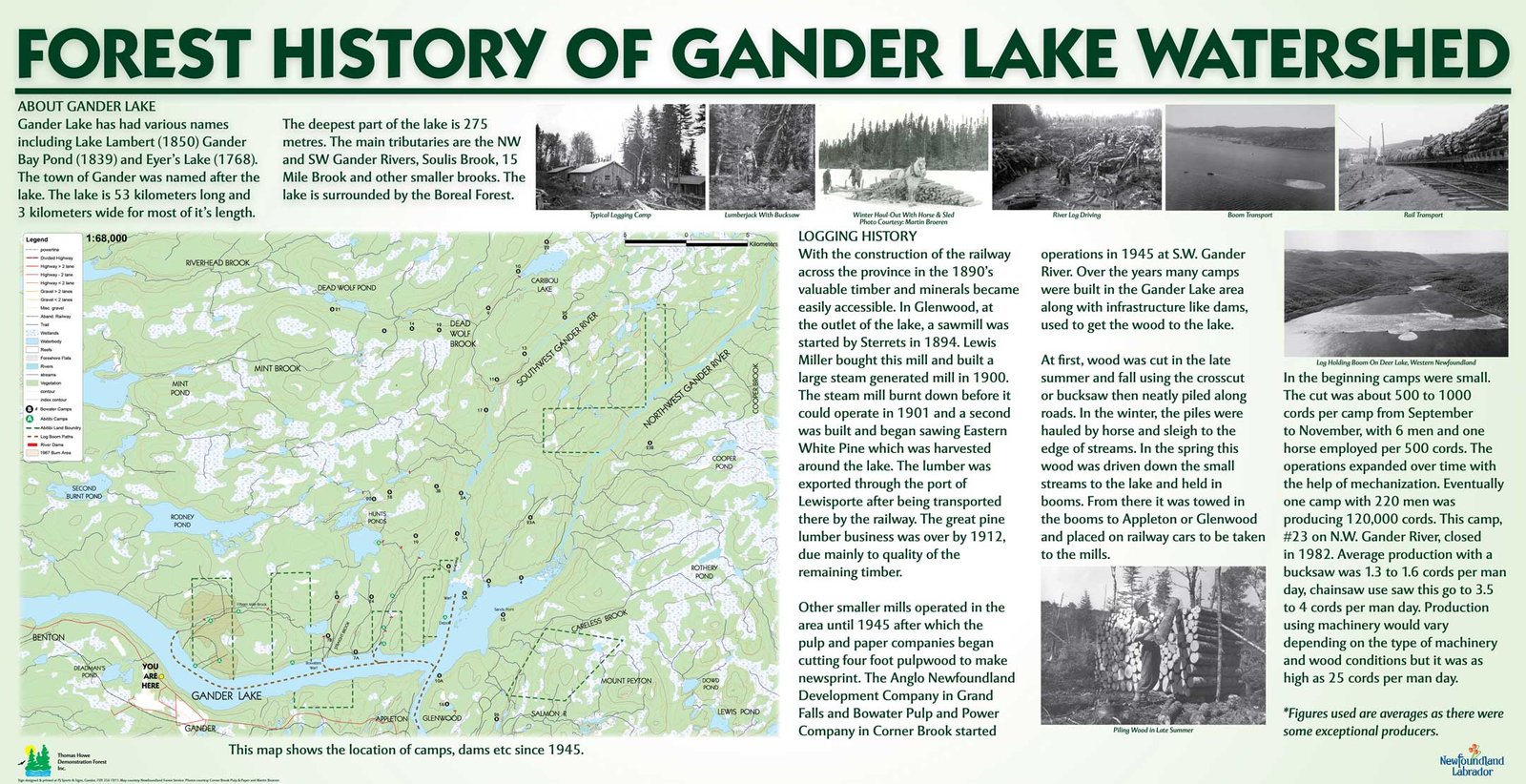 An informational sign about the history of logging in the Gander area.