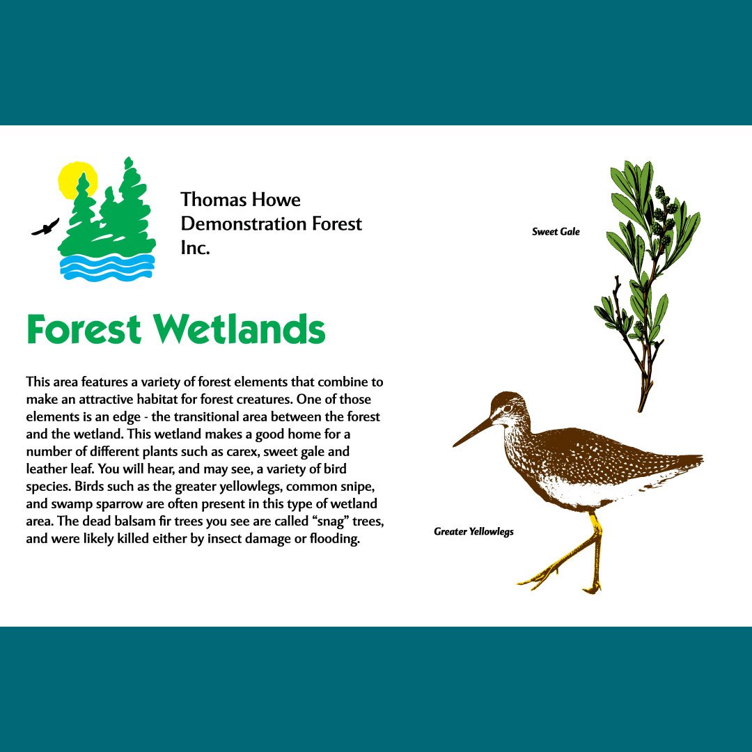 An informational sign about wetlands.There are illustrations of Greater Yellowlegs and Sweet Gale