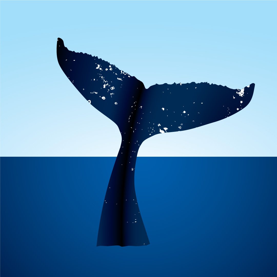 An illustration of a whale tail.